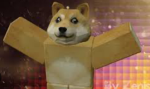 Code blue doge fanclub