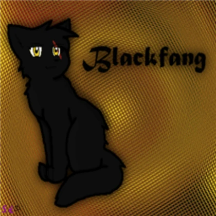 Blackfang Warrior Cat Drawing
