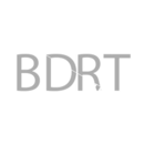Bureau Danois de la Radio & Télévision (BDRT)