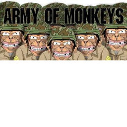 ARMYY OF MONKEYS's Place Number: 1