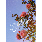 Flourishing Fleurs