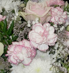 _lovely_<3