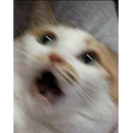 감상의 시간