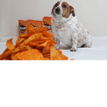Cheesy Dorito dogs