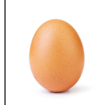 Egg family1234