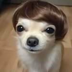 Hair Crew Group Thumbnail