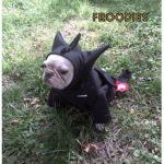 The Cotton Candy Squad