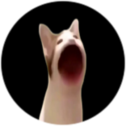 Pop Cat Roblox NoFilter
