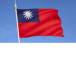 台灣台北武裝部隊beartp