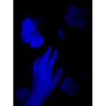 XxSunFlower_SunnyxX