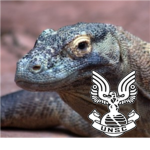 UNSC Advanced Reptilian Assault Division