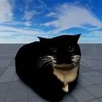 cat dev studio