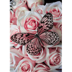 Come if you like flowers :3