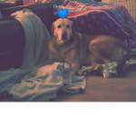 Puppys are cute right?
