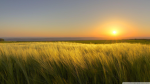 Sunshine_Cloudy