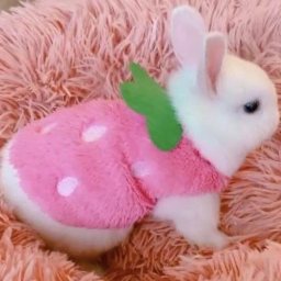 =￣ω￣=