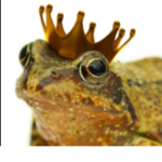 “Frog gang”