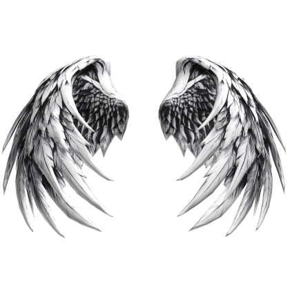 Big Monochrome Vigilant Angel Wings Roblox item