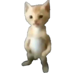 Yoink-Yoink