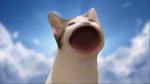 RatBOYZ GIVEAWAYS PLS DONATE