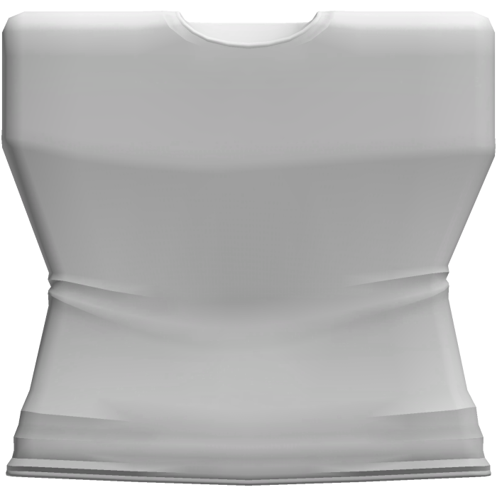 White T-Shirt | R6 Girl Ver.