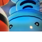The wooper squad