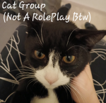 Group Name On The Thumbnail