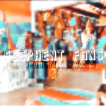 .Elephent Fans.