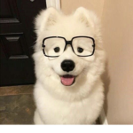 ʟ ᴏ ᴠ ᴇ s