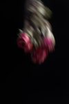 The Undernest