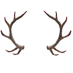 Weendigo Antlers