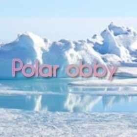 [NEW]Polar Obby (Easy)