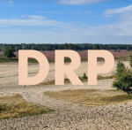DRP | Burger Groep