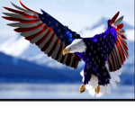 Team Eagle and justice