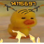 duck crew>