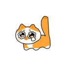 이미 완벽한곳