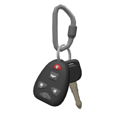 Carabiner Car Keys