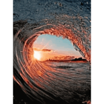 Oceanshowqrs