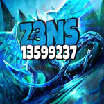 Z3NS