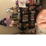 Club beanie boo :)