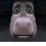 Alex Gamer :v Followers