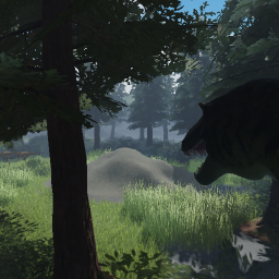 Primal: Map