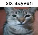 metym
