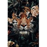 Tigers dance academy