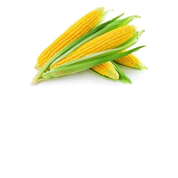 Eat Corn idiots