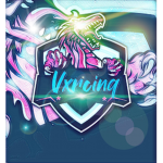Vxrcinq's server (Clothing)