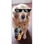 miscky:[