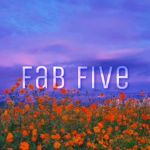 *~•fab*five•~*
