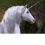 The unicorn fan sqaud
