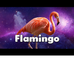 Flamingo Family!